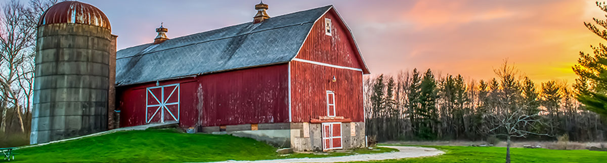 fly control for barns